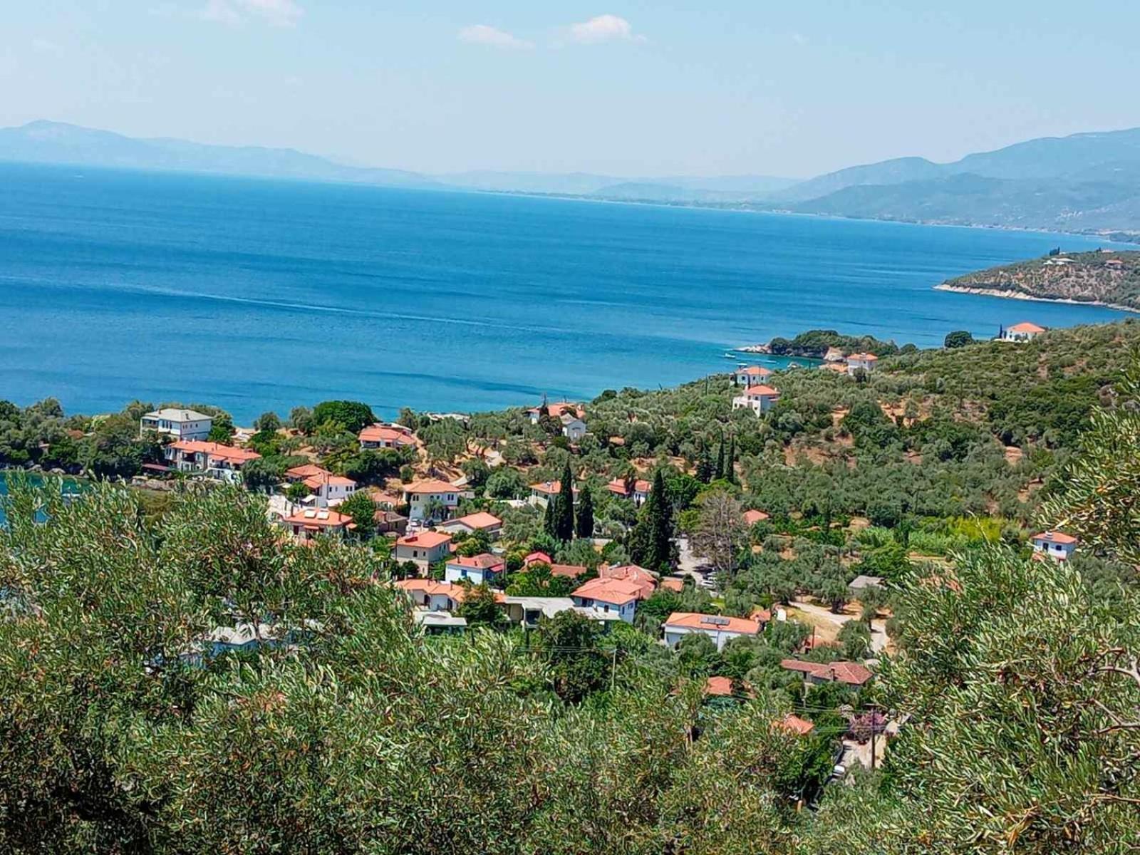 Olympia's Seaside